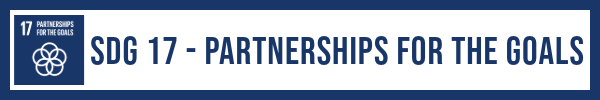 SDG 17. Partnerships for the Goals lesson plan