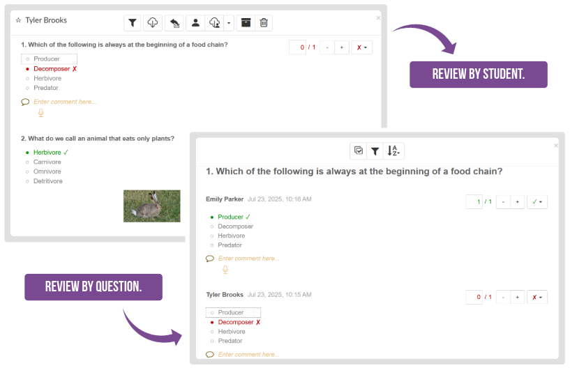 BookWidgets grading dashboard with review by student and review by question
