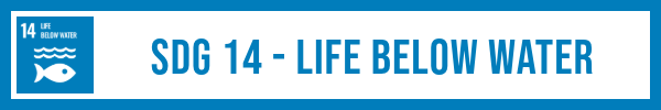 SDG 14 life below water lesson plan